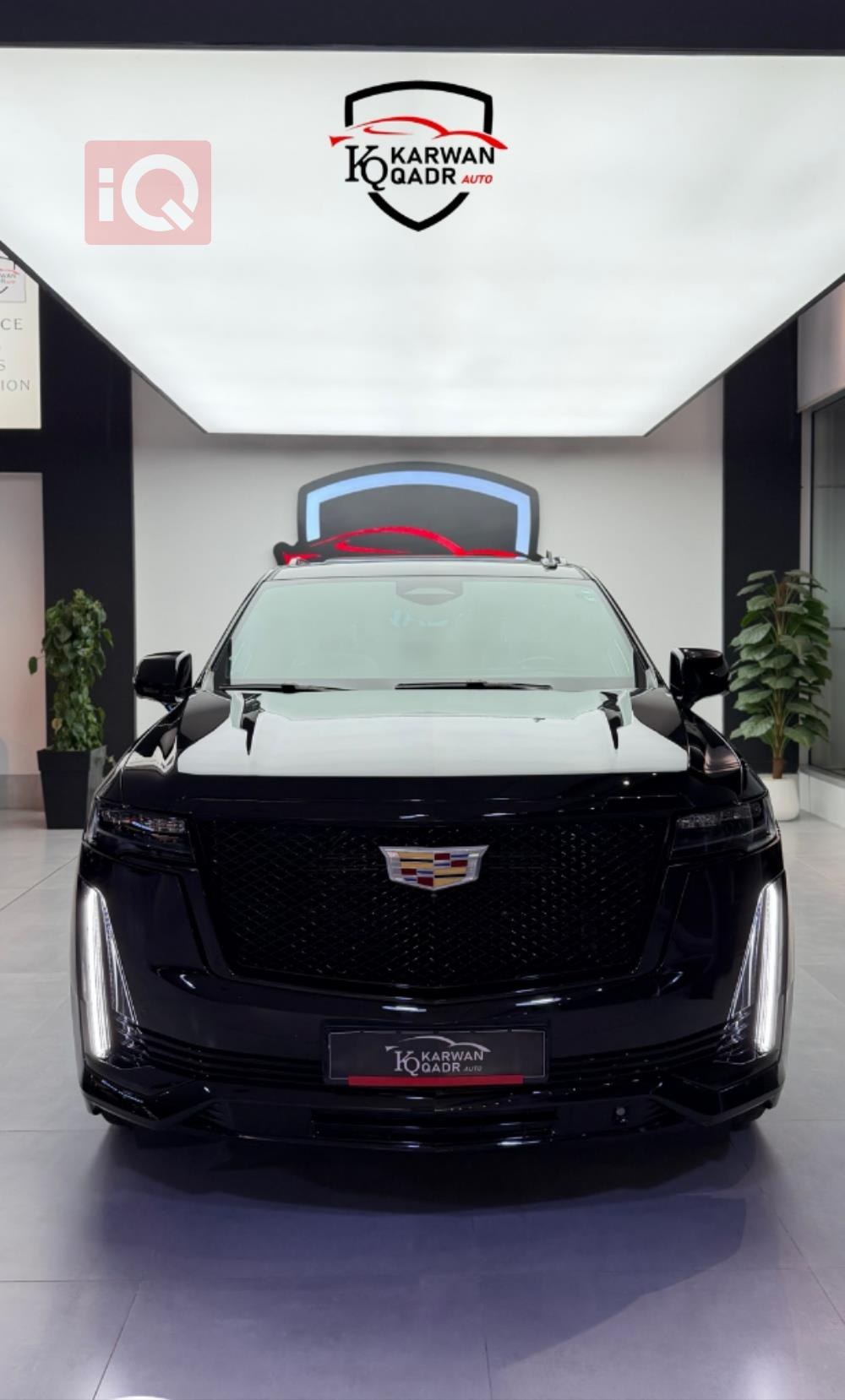 کادیلاک ئێسکەلەید